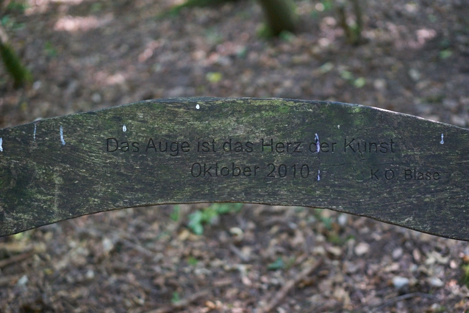 Künstler-Nekropole-Wald-Oskar-Blase-Udo-Dossi-Ruhnau-Kassel-Lena-Gehrmann-Sebastian-Tam-Sommer-Warm-Sonne 11
