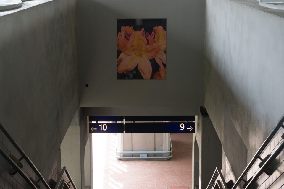 fuldaufer-kassel-wilhelmshöhe-bahnhof-fernverkehr-züge-blog-magazin-fulda-ufer-LENA-GEHRMANN-SEBASTIAN-TAM-7