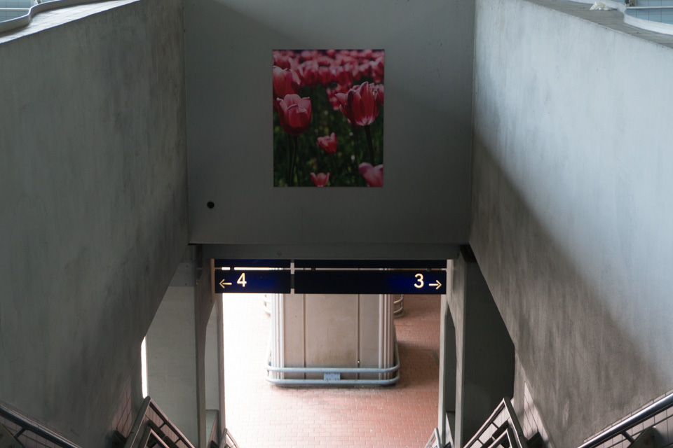 fuldaufer-kassel-wilhelmshöhe-bahnhof-fernverkehr-züge-blog-magazin-fulda-ufer-LENA-GEHRMANN-SEBASTIAN-TAM-8