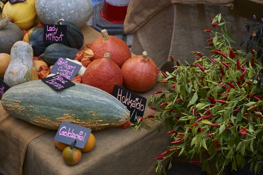 fuldaufer-melsungen-spazieren-herbst-spezialitaeten-festival-nordhessen-slowfood-erleben-kultur-kunst-lena-gehrmann-sebastian-tam-1