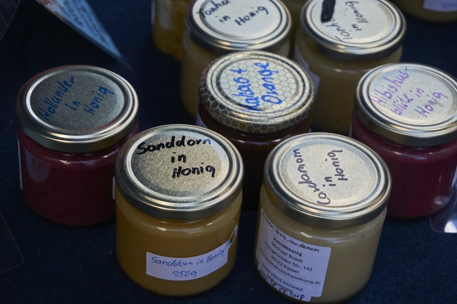 fuldaufer-melsungen-spazieren-herbst-spezialitaeten-festival-nordhessen-slowfood-erleben-kultur-kunst-lena-gehrmann-sebastian-tam-18