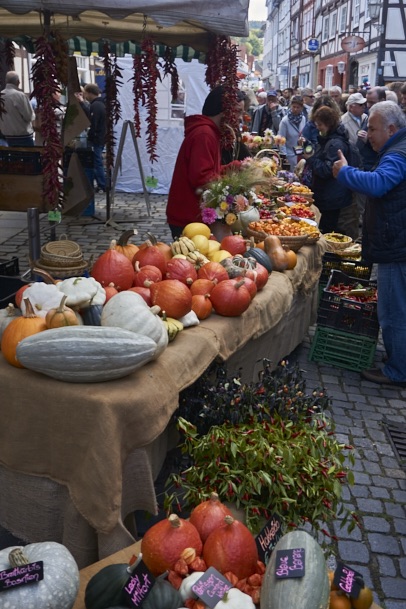 fuldaufer-melsungen-spazieren-herbst-spezialitaeten-festival-nordhessen-slowfood-erleben-kultur-kunst-lena-gehrmann-sebastian-tam-3