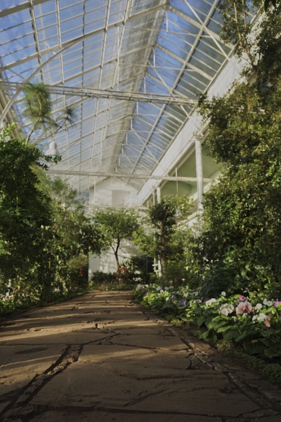 gewaechshaus-wilhelmshoehe-pflanzen-flora-bergpark-exotisch-ruhe-selten-voegel-winter-licht-fotografie-lena-gehrmann-sebastian-tam-11